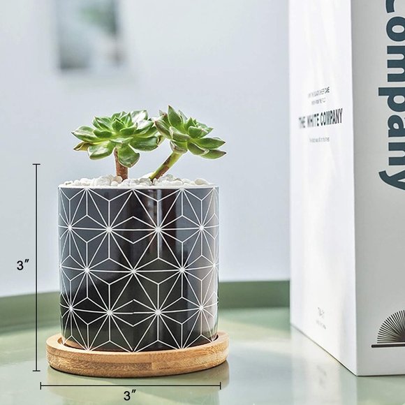 3 Inch Geometric Succulent Planter Pots with Drainage and Bamboo Tray - Picture 7 of 11